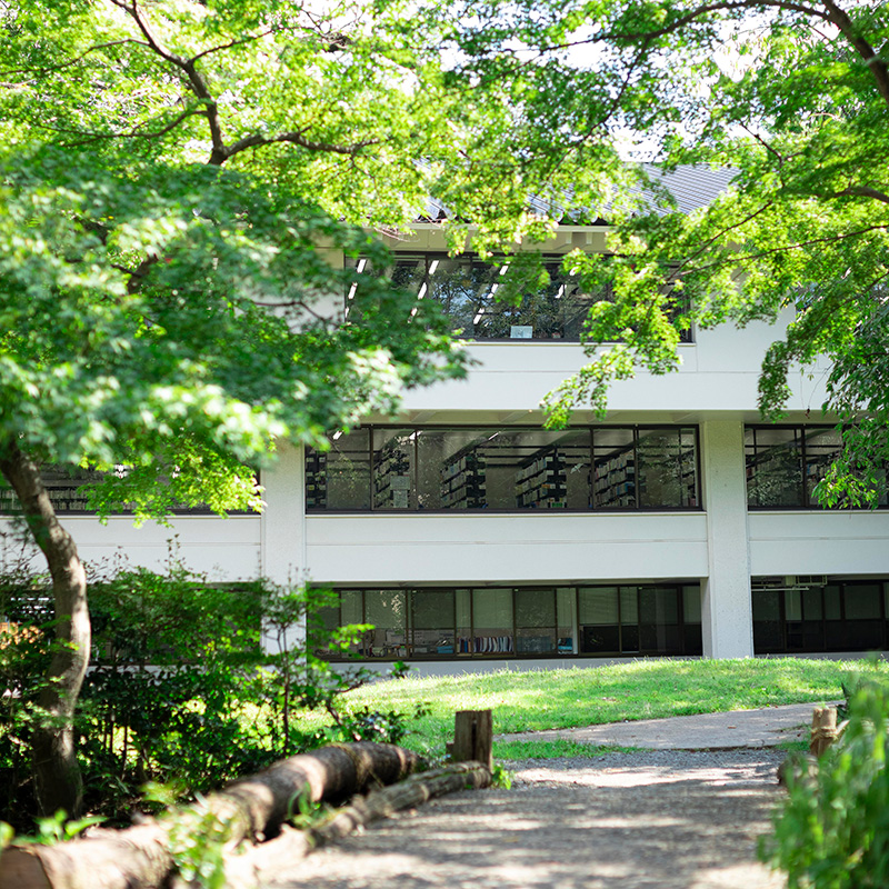 【高校生・大学受験生の皆さんへ】夏季限定！ 武蔵大学図書館で勉強ができます