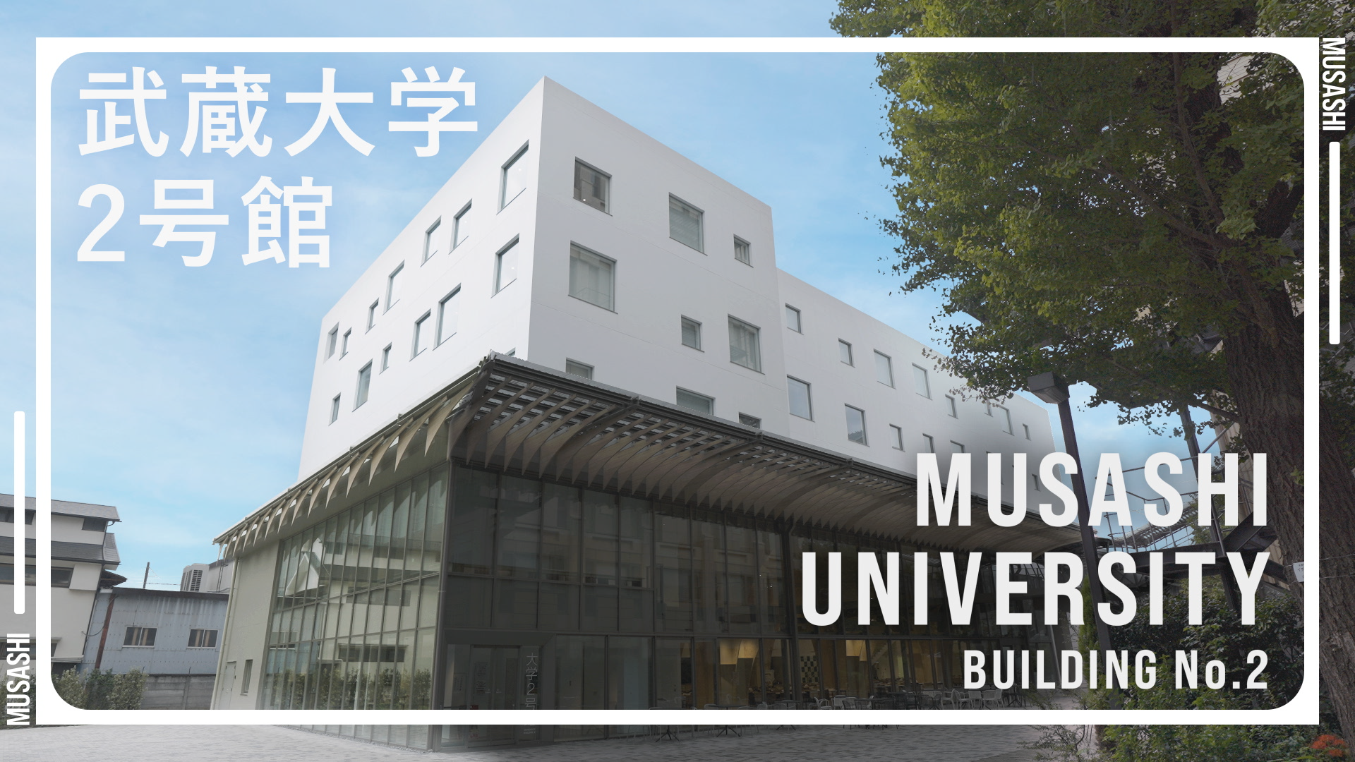 動画を再生する